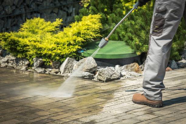 Pre-Holiday Cleaning in Lawton, MI